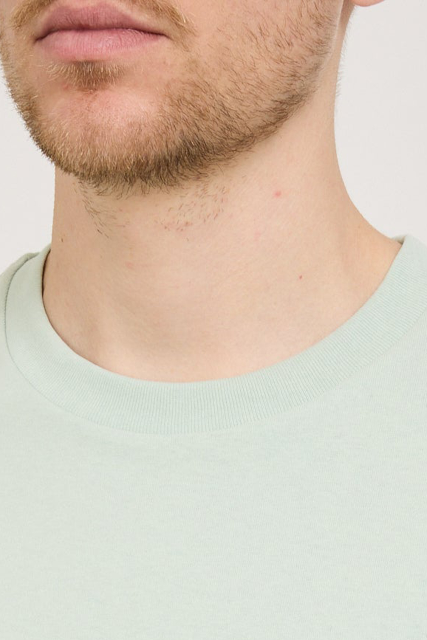 Standard T-Shirt Light Green