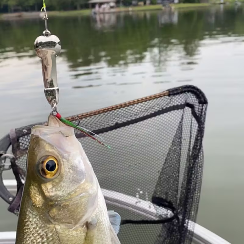 Funny Metal Vibration Lure Set