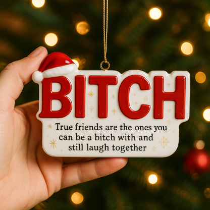 Funny Friendship Christmas Ornament