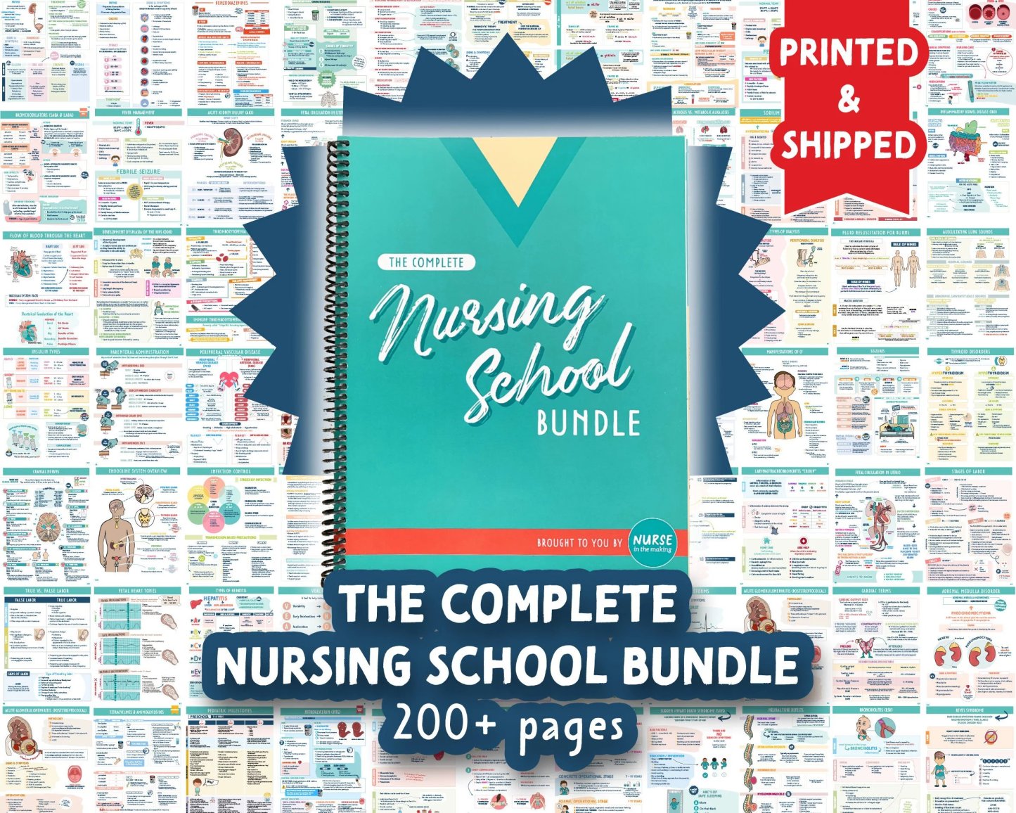 The Complete Nursing School Bundle