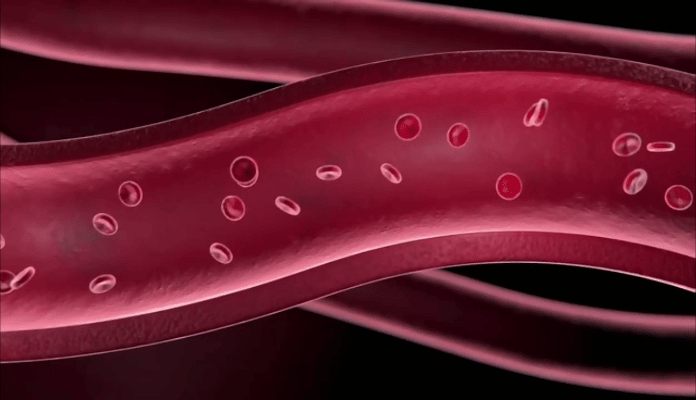 1690442536508108.gif 1680149159585615.gif