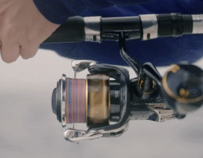 1694245800676273.gif 8.gif