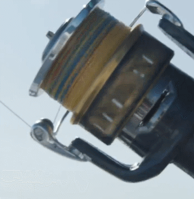 1694245819509510.gif 9.gif