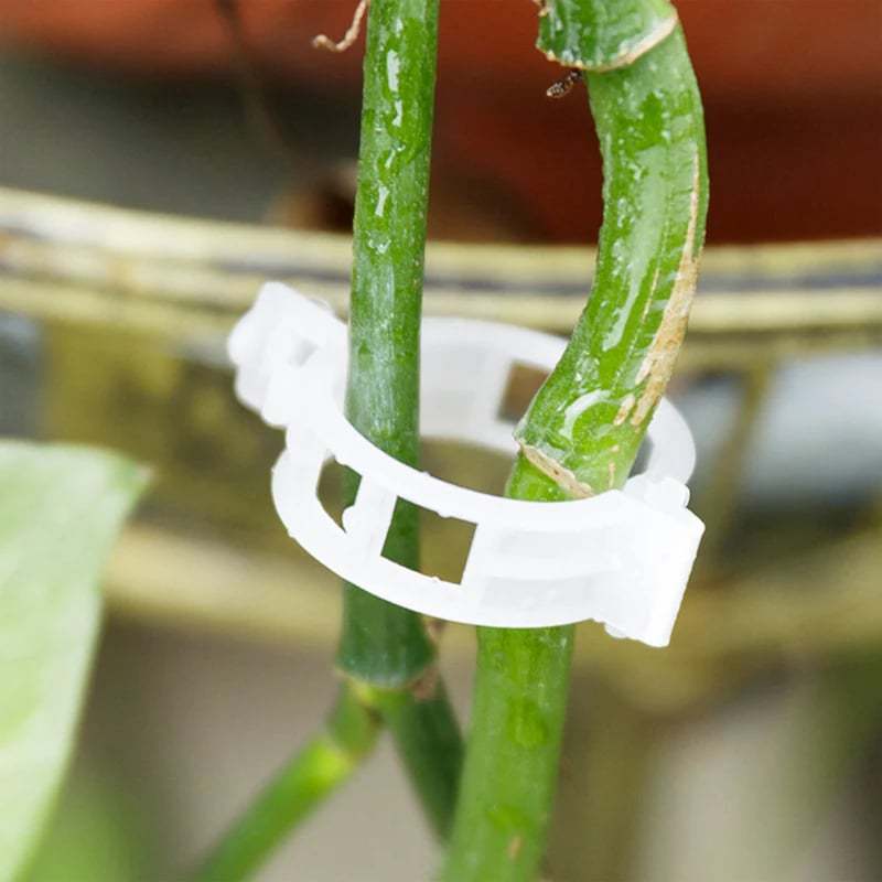 Plant Growth Support Clips