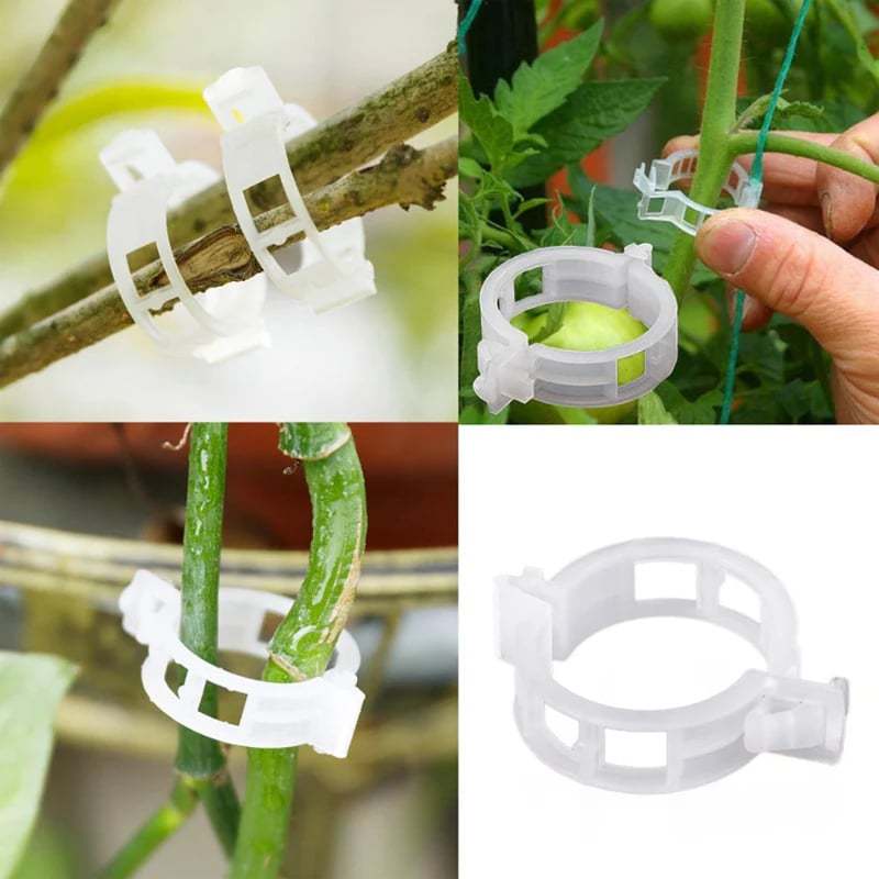 Plant Growth Support Clips