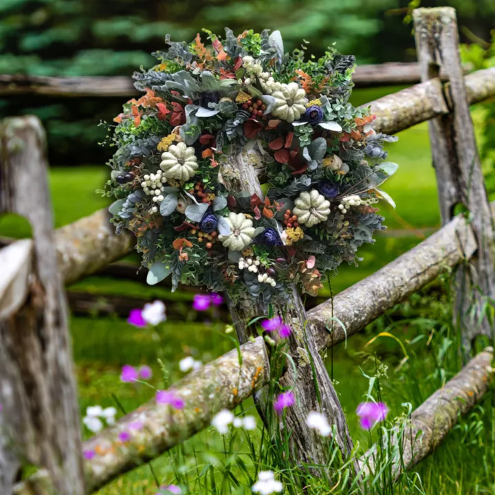 White Pumpkins Ranunculus