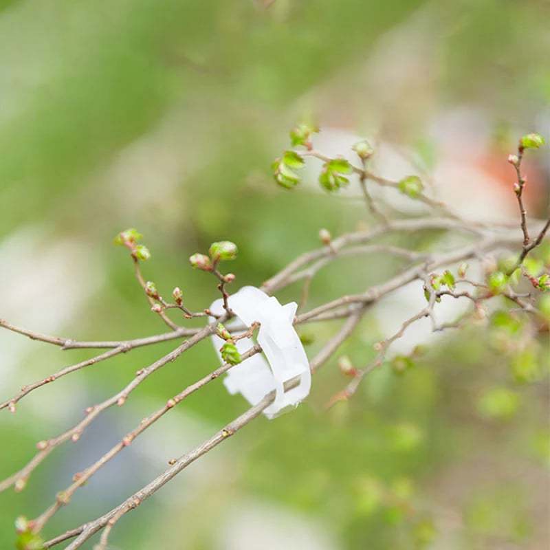 Plant Growth Support Clips