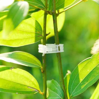 Plant Growth Support Clips