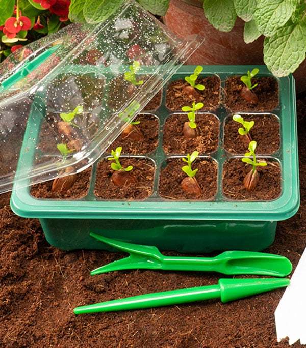 Adjustable Humidity Seed Starter Trays