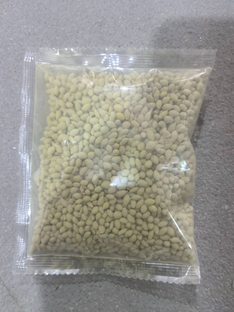 🔥Evergreen dwarf grass seed for four seasons