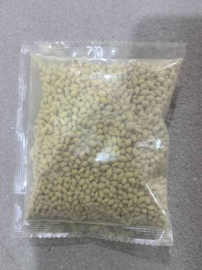 🔥Evergreen dwarf grass seed for four seasons