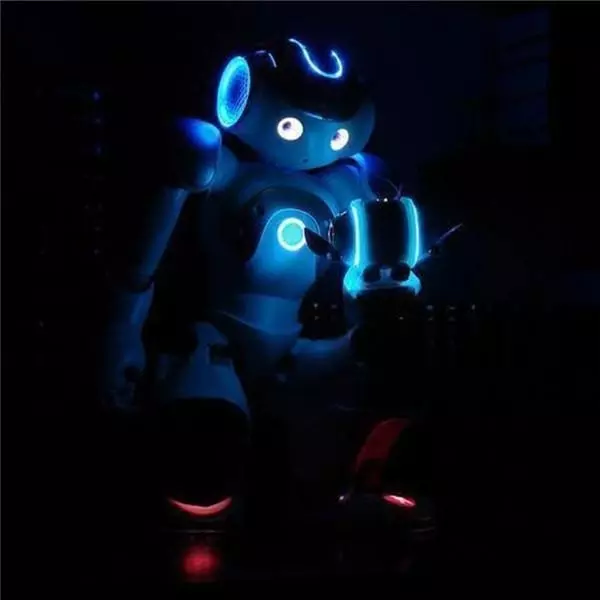 💥Special Deal 😍🤖High-tech artificial intelligence robot