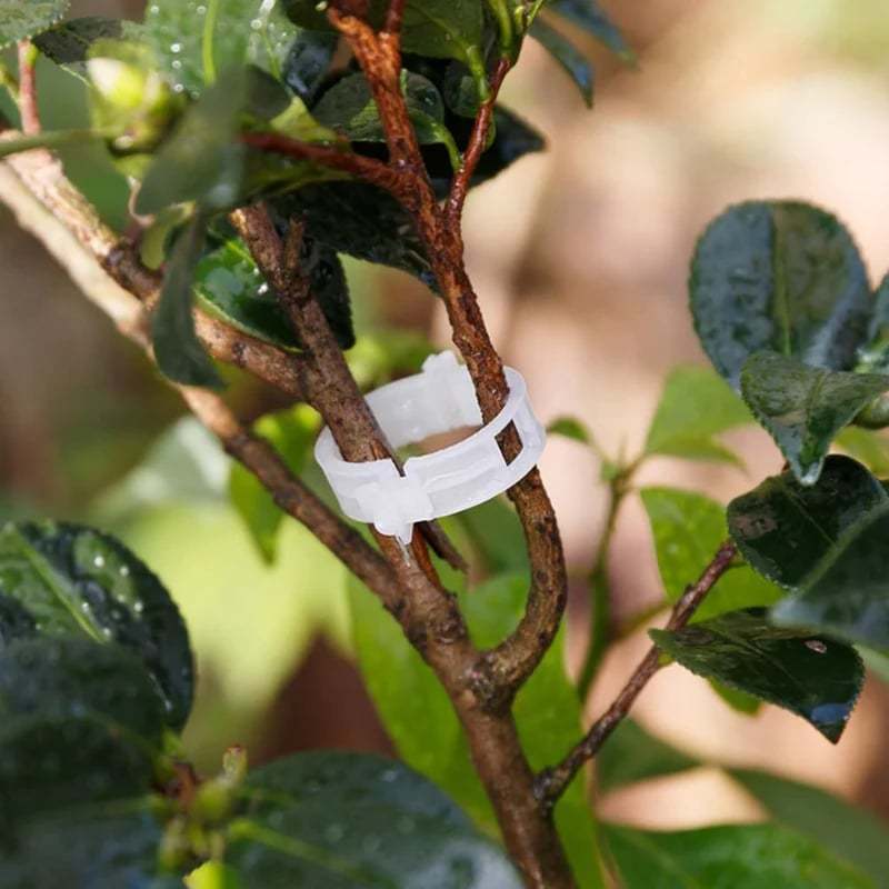 Plant Growth Support Clips
