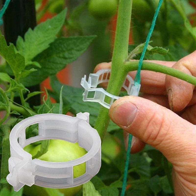 Plant Growth Support Clips