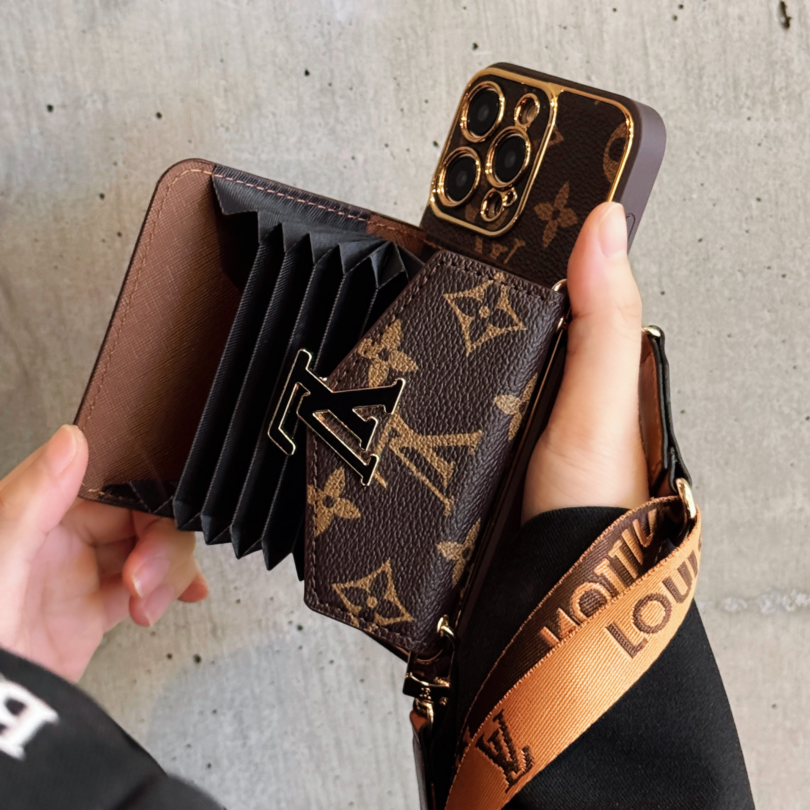 LV iPhone Cases