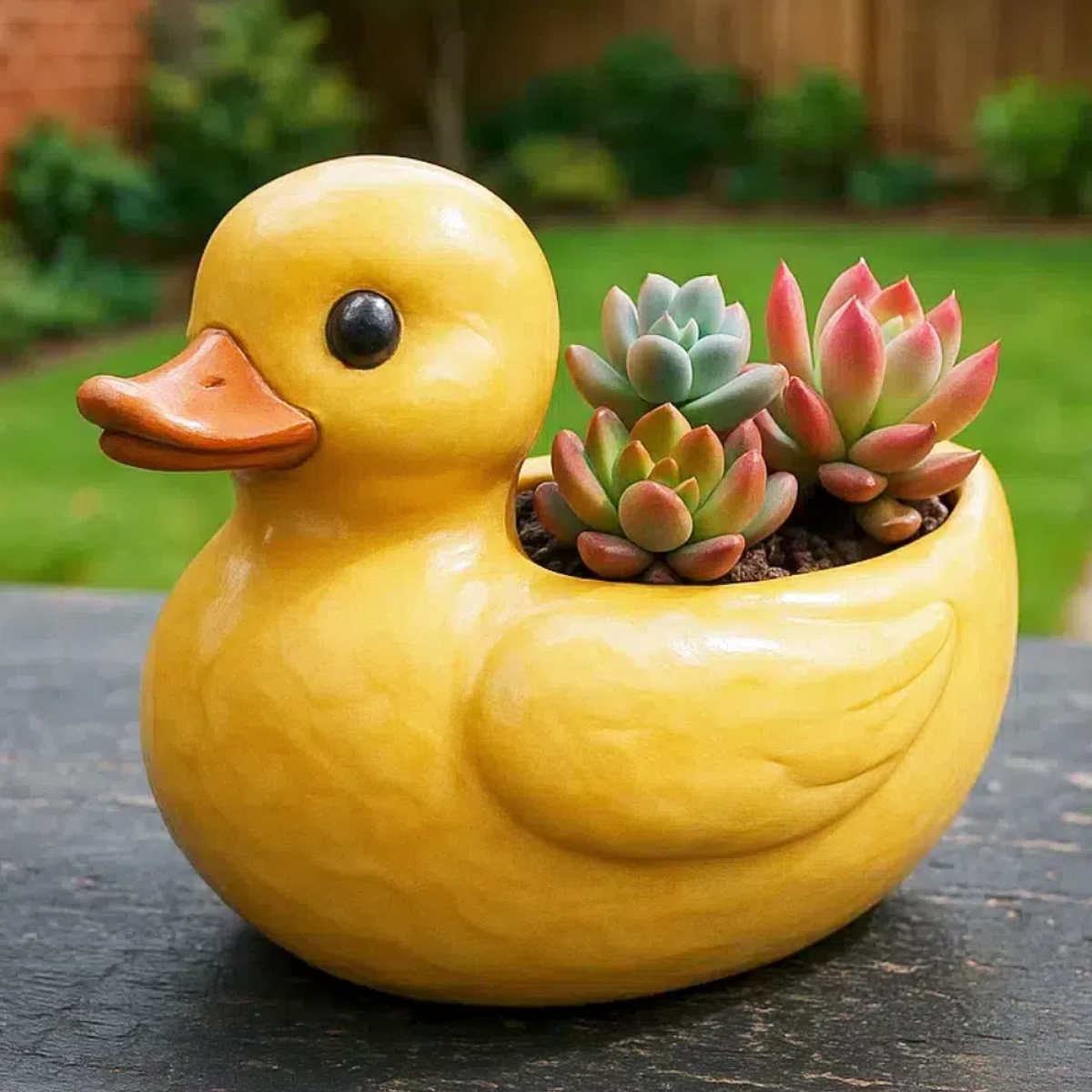 Sassy Duck Succulent Pot