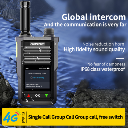 World Wide Walkie Talkie: Empower Your Global Communication Dreams
