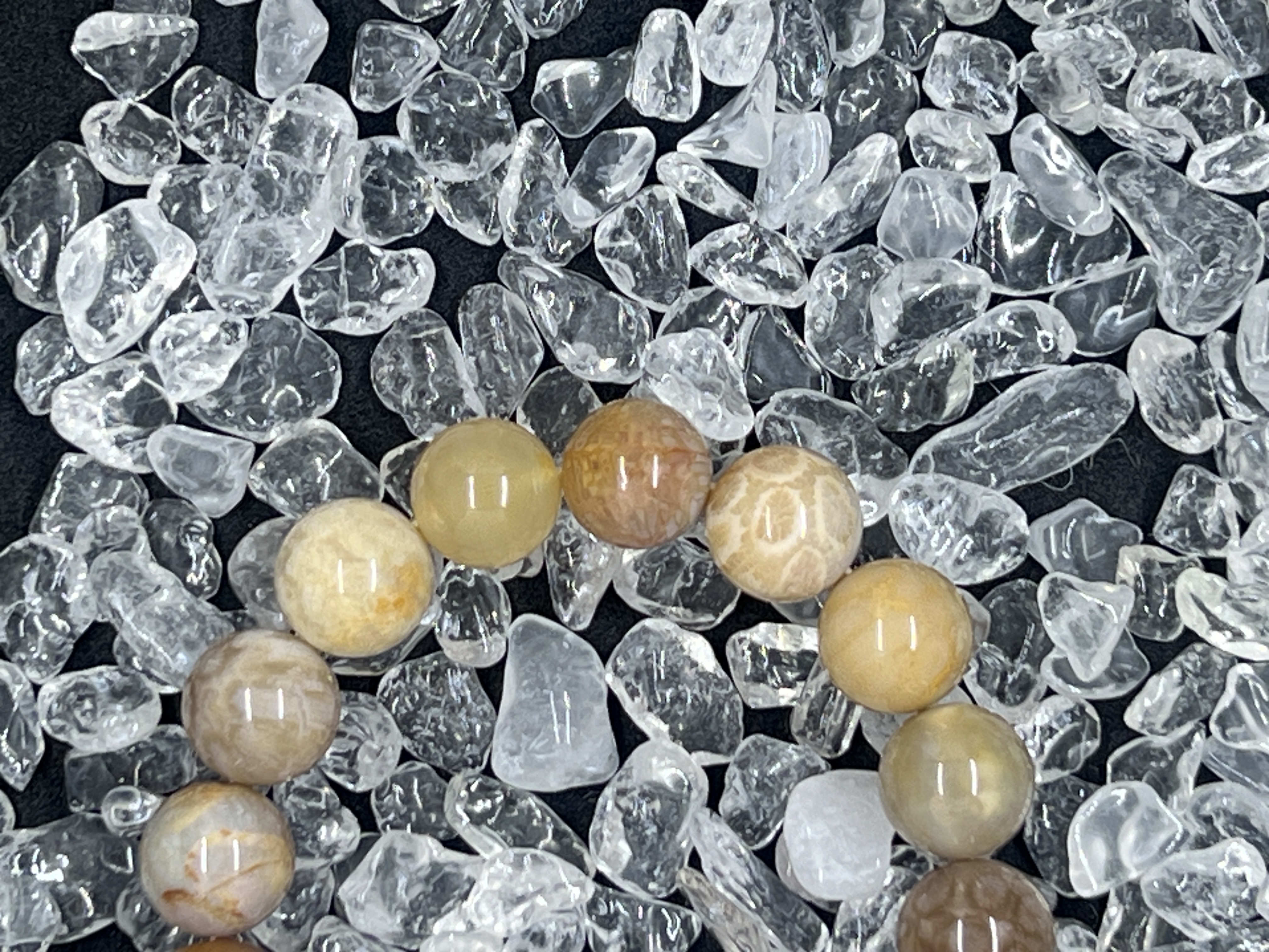 Natural Chrysanthemum Stone/Coral Fossils bracelets