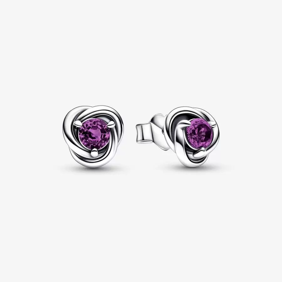 February Purple Eternity Circle Stud Earrings-JewelrYowns