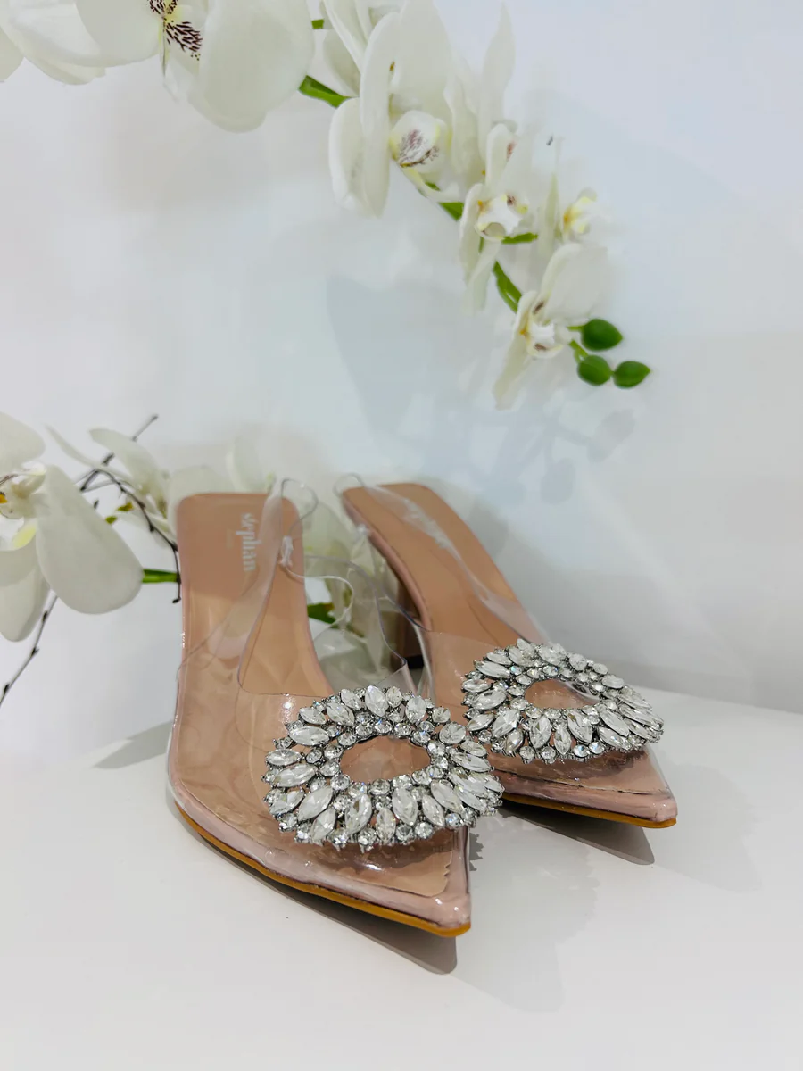 Pointed Clear Toe Nude Diamante Circle Heels