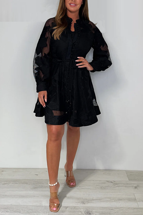 Sleeve Mesh Flower Detail Belted Button Up Dress