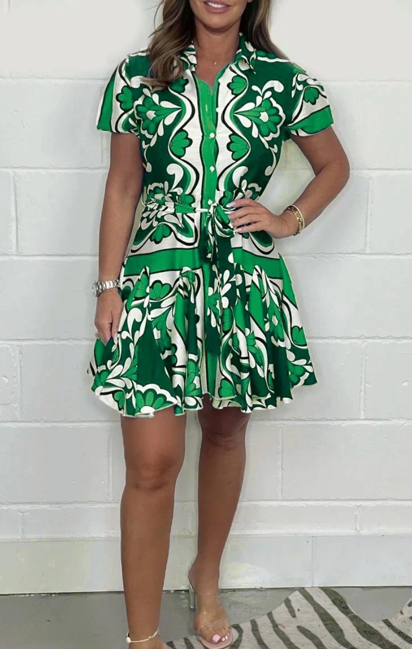 Printed Skater Dress