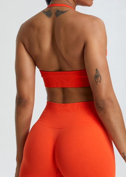 Customized Seamless Hanging Neck Shock Absorbing Sports Bra