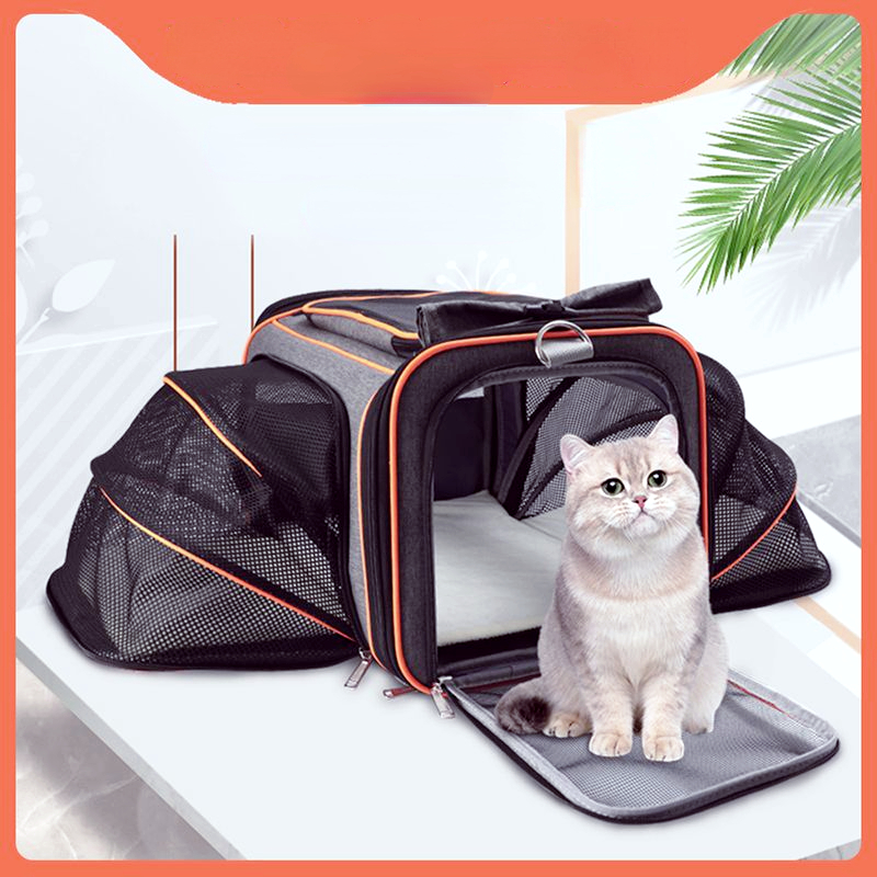 Pet Carry Bags