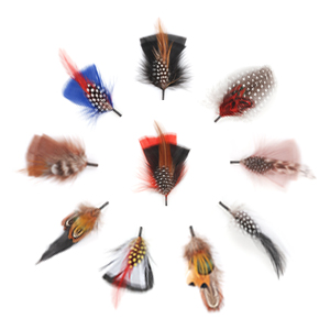 10 pcs feathers