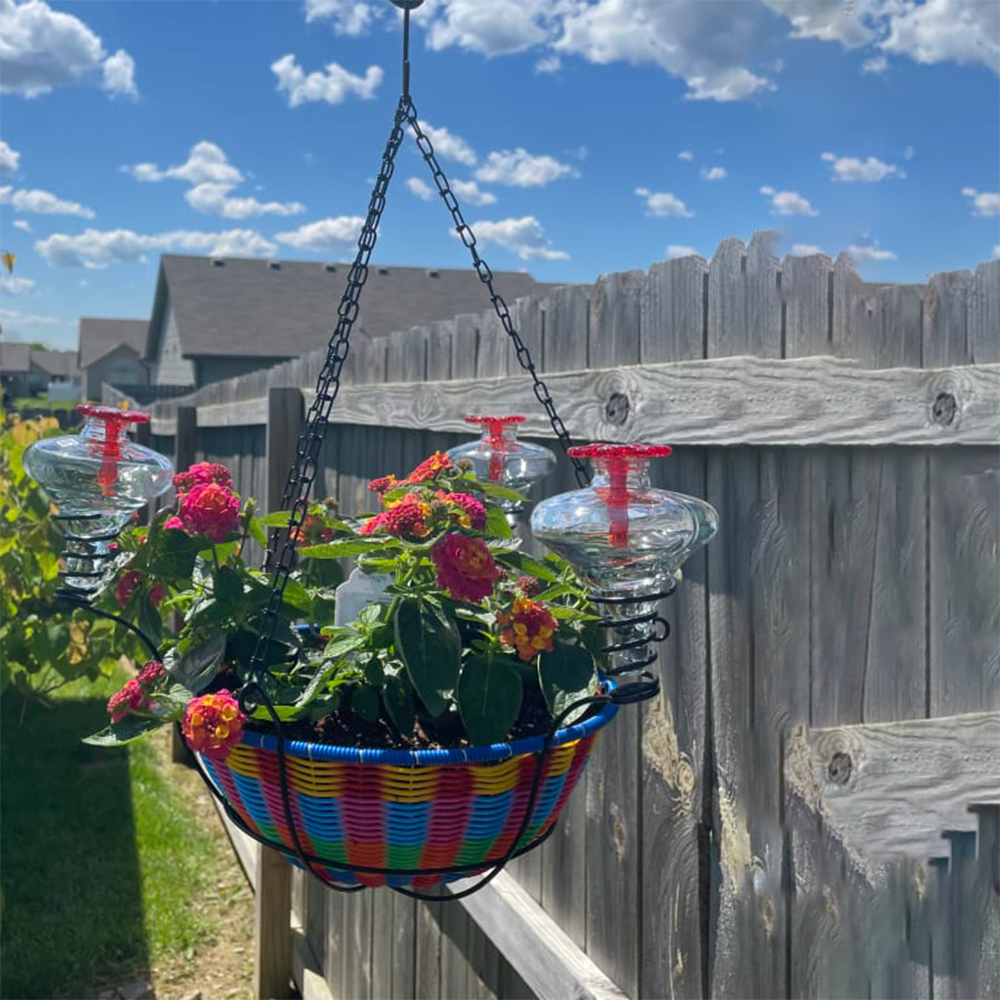 Hanging Basket Hummingbird Feeder Windandsunshine