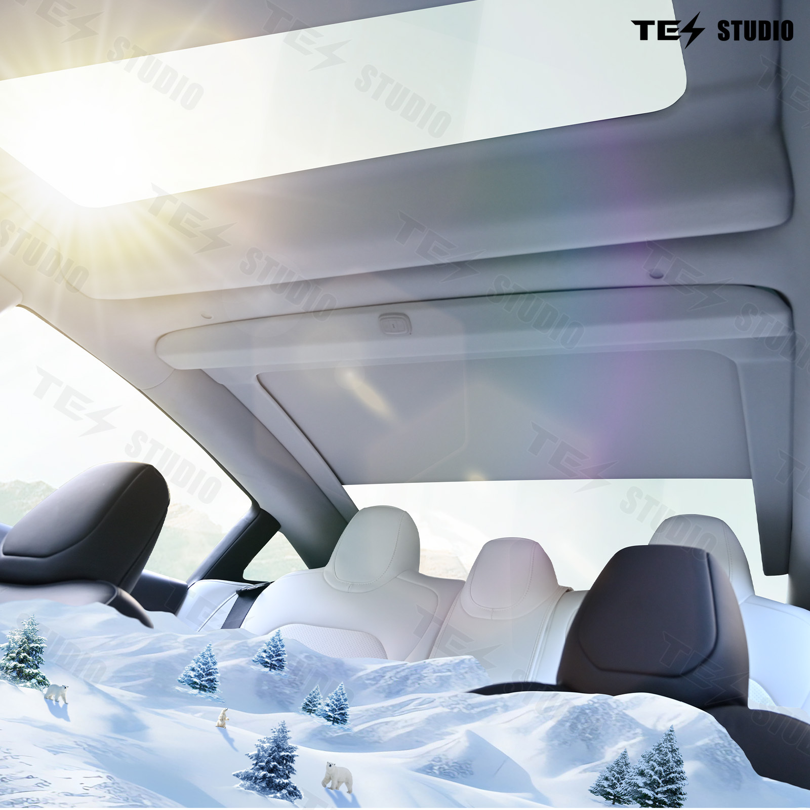 Model 3/Model 3 Highland Voice-Controlled Electric Sunshade(Fabric Roll Model B-Dual Switch)English Version (19.02+) Tesstudio®