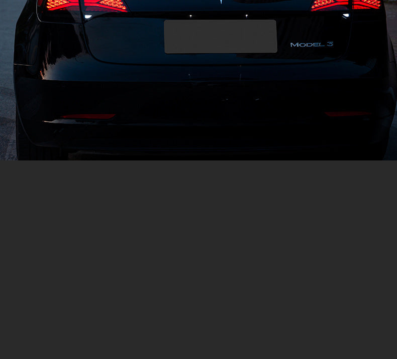 Tesla Model 3 Model Y Taillights Rear Lamp Assembly LED X-Style Tail lights Tesstudio?