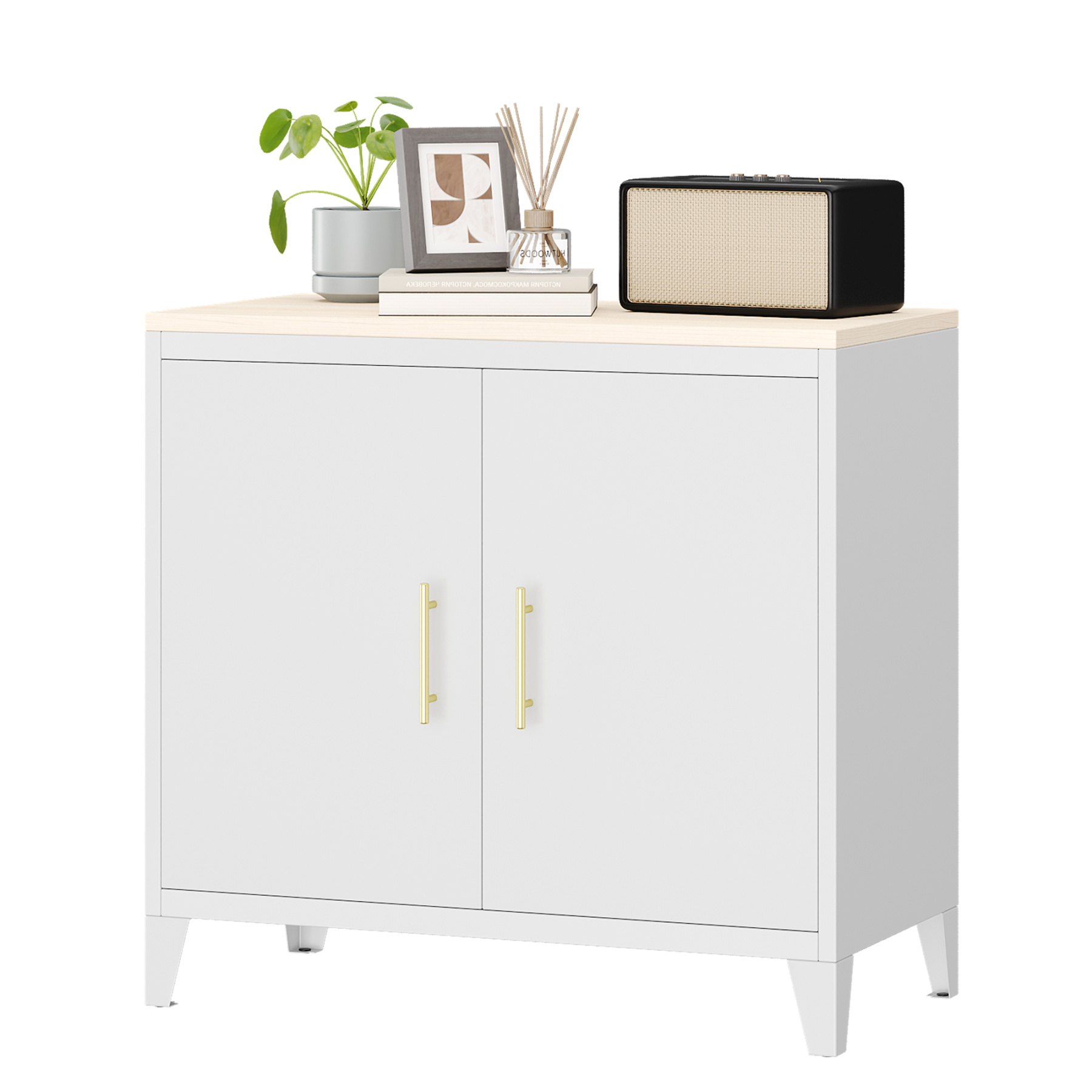 Metal Storage Cabinet Sideboard with 2 Adjustable Shelves