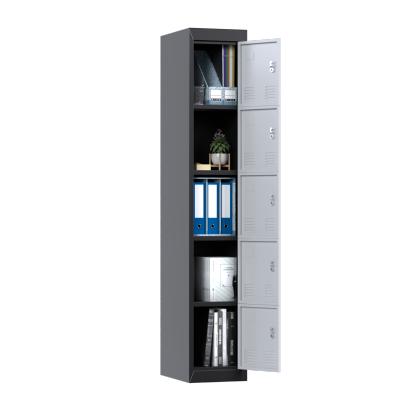Metal Storage Locker With 5 Door