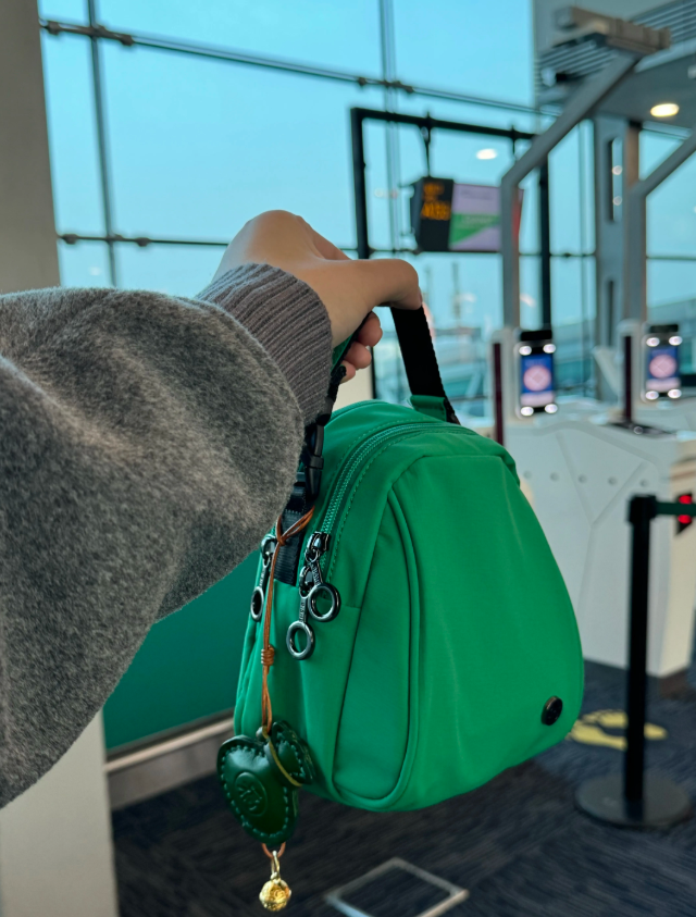 lightweight waterproof nylon crossbody bag for women can also be carried by hand 