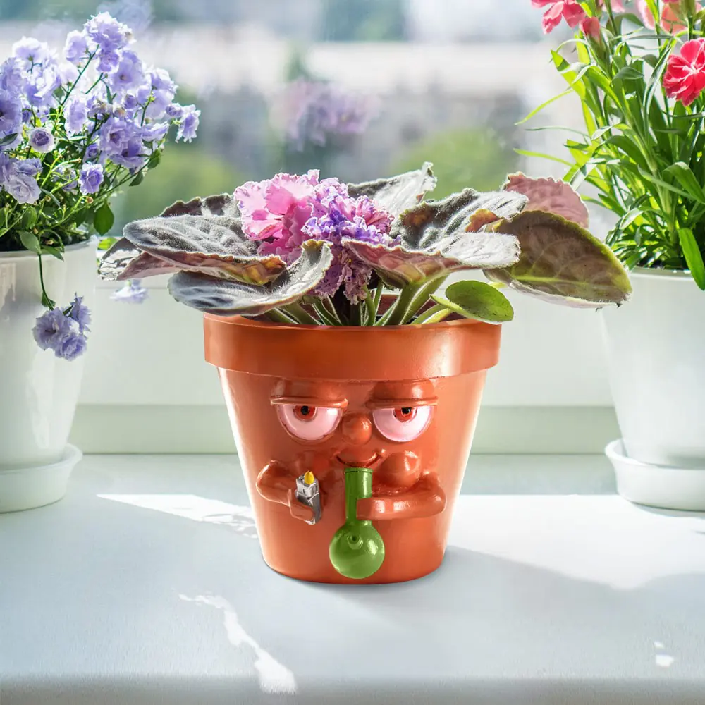 Interesting succulent pots, personalized creative flower pots