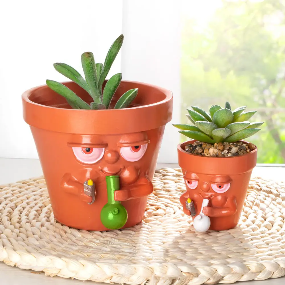 Interesting succulent pots, personalized creative flower pots