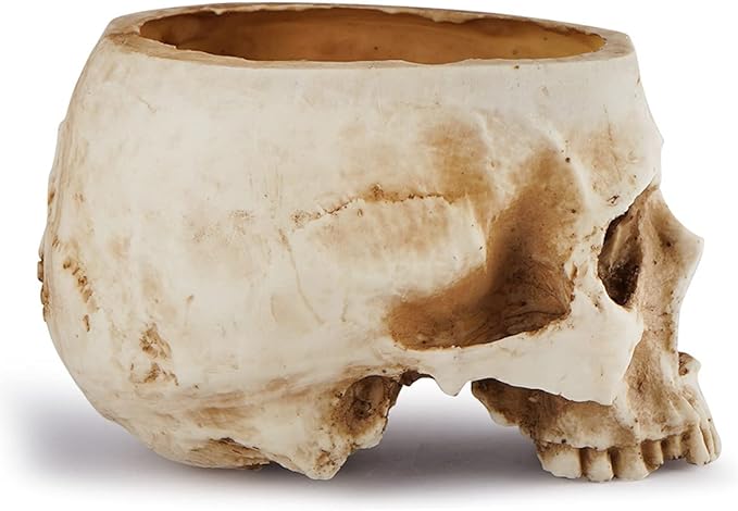 Resin Skull Flower Pot Halloween Props Brainless Skull Hollow Skull Creative Tricky Ornaments