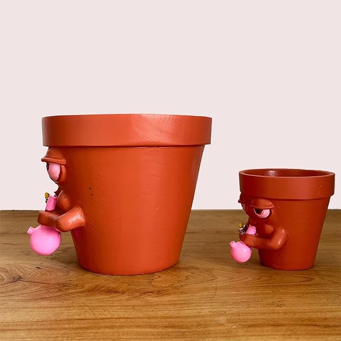 Interesting succulent pots, personalized creative flower pots