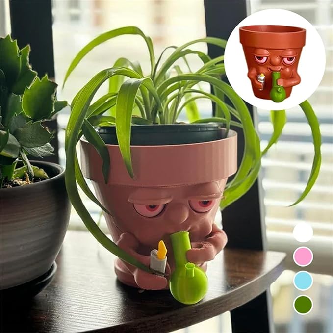 Interesting succulent pots, personalized creative flower pots