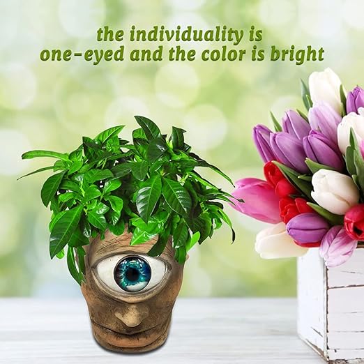 Personalized Cyclops Planter, Multipurpose Hand Painted Resin Ornament