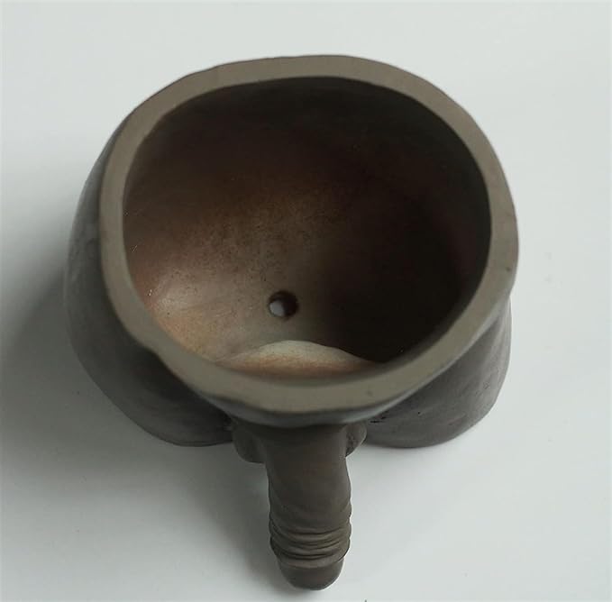 Resin penis flowerpot, a unique and interesting flowerpot