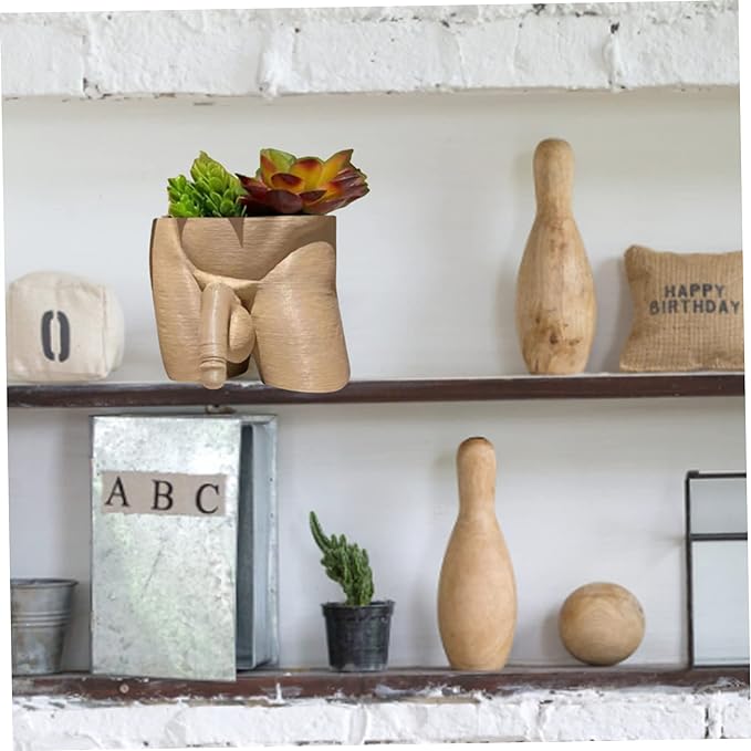 Resin penis flowerpot, a unique and interesting flowerpot