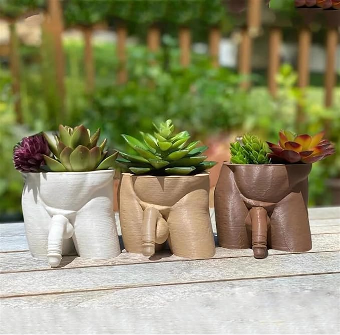 Resin penis flowerpot, a unique and interesting flowerpot
