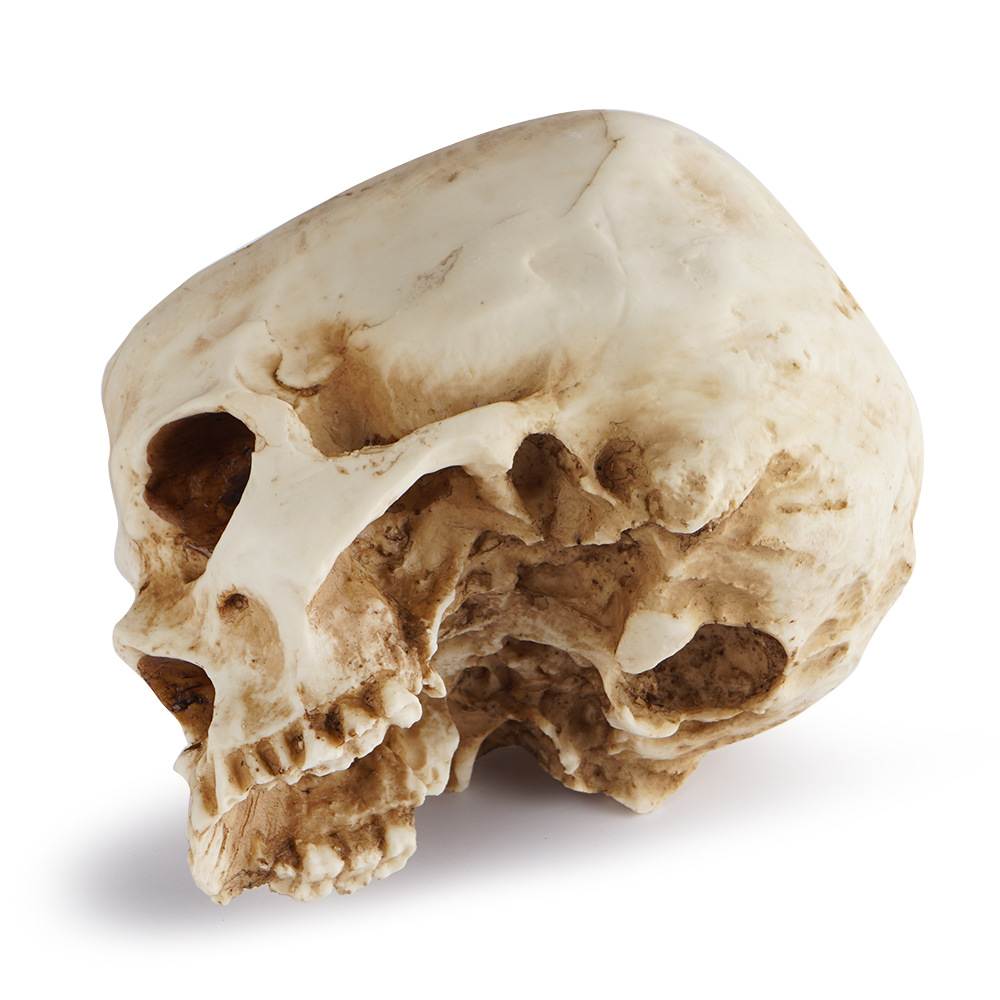 Resin Skull Flower Pot Halloween Props Brainless Skull Hollow Skull Creative Tricky Ornaments