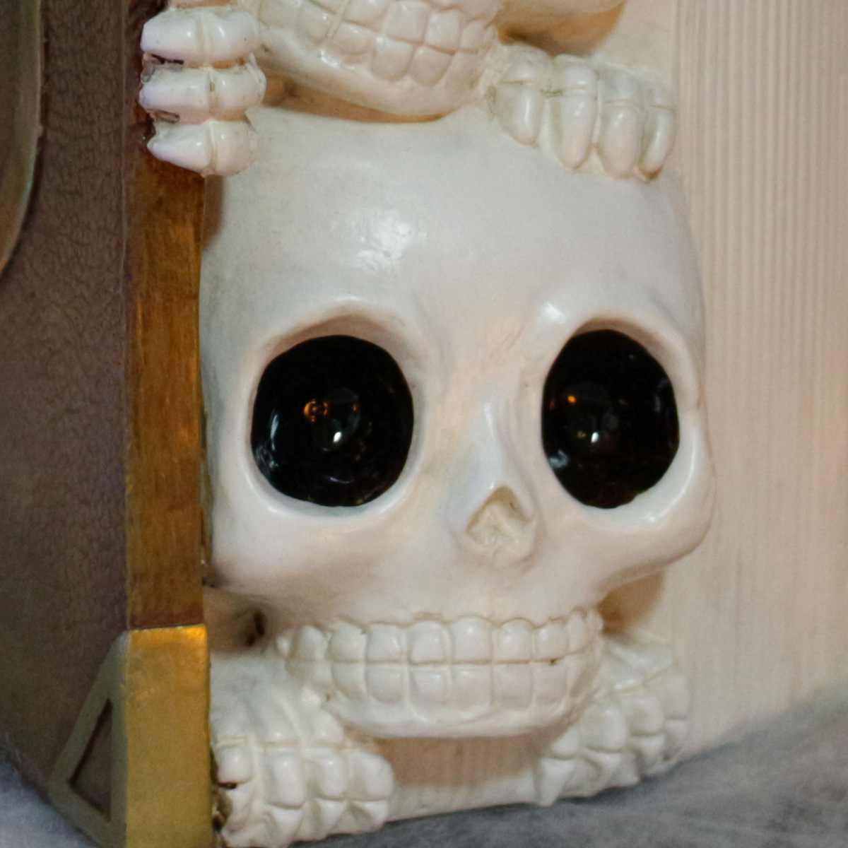 Skull book resin succulent flower pot green plant flower pot personalized creative ghost head flower pot