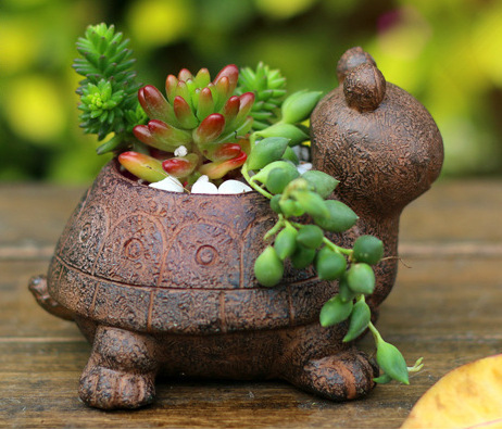 Creative pastoral cartoon silly turtle small animal succulent office flower bonsai pot resin craft ornaments