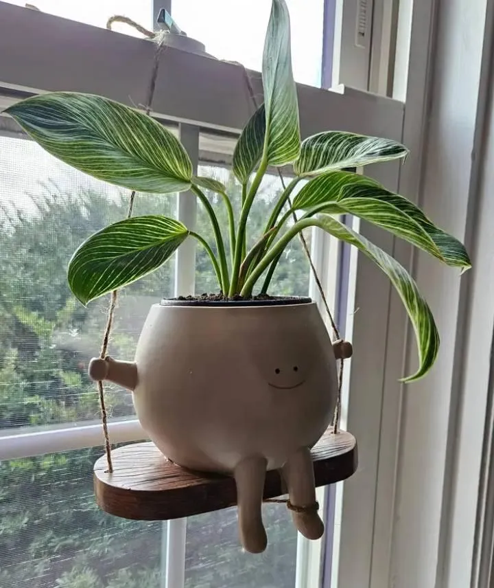 Cute Cartoon Creative Fowerpot