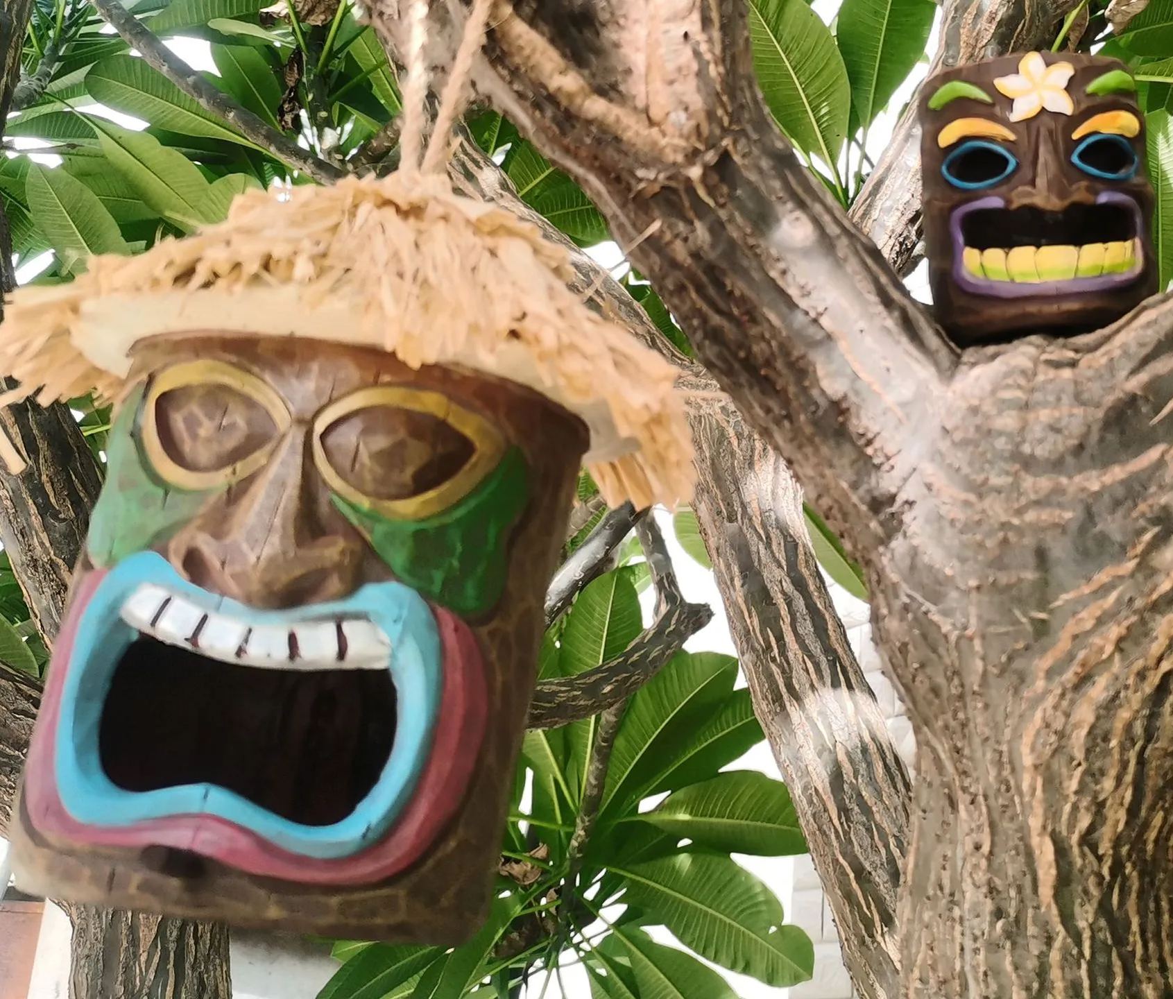 Outdoor courtyard hanging novel bird house