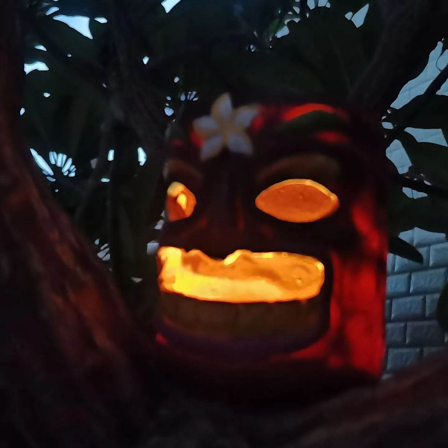 Outdoor courtyard hanging novel bird house